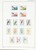 Kavel 2661 (98)