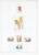 Kavel 2661 (138)