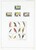 Kavel 2661 (141)