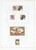 Kavel 2661 (149)
