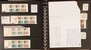 Lot 2502 (392)