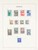 Lot 2551 (19)
