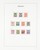 Lot 2550 (13)