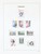 Kavel 2538 (107)