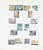 Kavel 2549 (176)