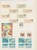 Lot 1525 (29)
