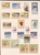 Lot 1525 (117)