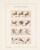 Lot 1525 (463)