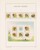 Lot 1525 (471)