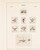Lot 1525 (503)