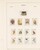 Lot 1525 (506)