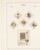 Lot 1525 (527)