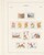 Lot 1525 (552)