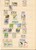 Lot 1545 (66)