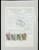 Kavel 1765 (992)