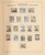 Kavel 1745 (475)