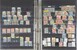 Lot 2439 (10)
