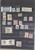 Lot 2439 (12)