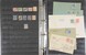 Lot 2439 (29)