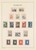Lot 2560 (46)