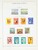 Kavel 2626 (146)
