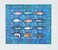 Lot 1268 (17)