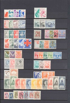 Lot 2566