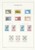 Kavel 2562 (60)