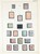 Lot 2534 (8)
