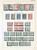 Lot 2534 (19)