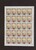 Kavel 1679 (6)