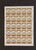 Kavel 1679 (14)