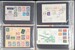 Lot 2438 (46)