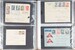 Lot 2438 (95)