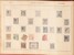 Lot 1010 (7)
