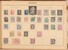 Lot 1010 (16)