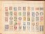 Lot 1010 (17)