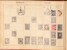 Lot 1010 (19)