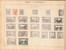Lot 1010 (21)