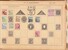 Lot 1010 (28)