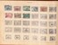 Lot 1010 (51)