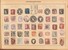 Lot 1010 (57)