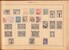 Lot 1010 (100)