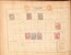 Lot 1010 (155)
