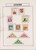 Kavel 1074 (83)