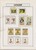 Kavel 1074 (84)