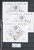 Lot 1132 (50)