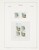Kavel 1281 (152)