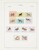 Kavel 1281 (154)