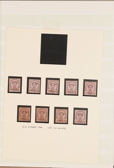 Lot 1335